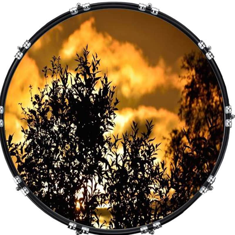 Custom Graphical 22" Kick Bass Drum Head Skin -Sunset Tree 3 image 1