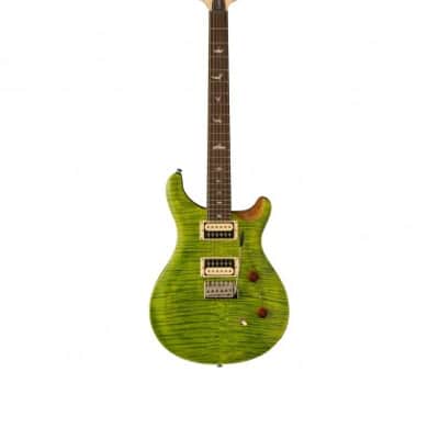 PRS SE custom 24-08 Eriza Verde image 1