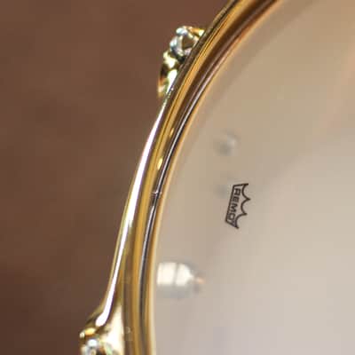 DW 5.5x14 Collector's Bell Brass Snare Drum w/ Gold Hardware image 6