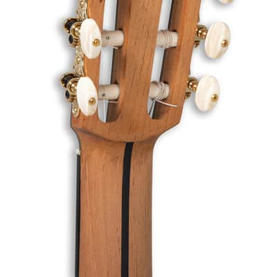 Manuel Rodriguez Signature Legacy Maestro Flamenco FF Sabicas Boca Spruce/Cypress 4/4 Size Cutaway 6-String Classical Acoustic-Electric Guitar w/Luxury Case image 17