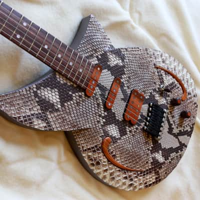 Build to Order GB Liuteria Boutique  Plié 6 string python edition for GIANLUCA GRIGNANI image 17
