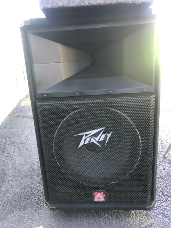 Single Peavey SP-2G- 600W 8Ω Sound Stage Reinforcement Speaker