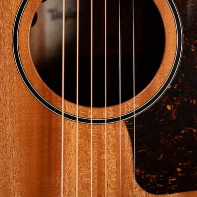 Taylor 24ce Grand Auditorium Acoustic-Electric Guitar with Gig Bag image 12