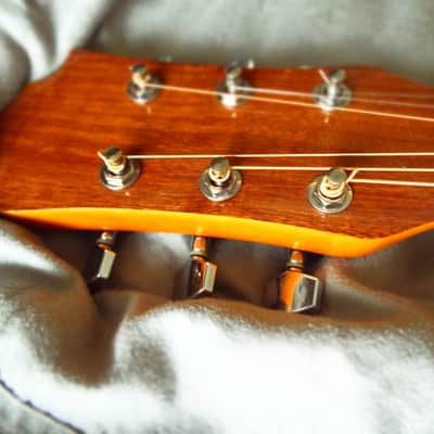 SG Style Acoustic-Electric image 8