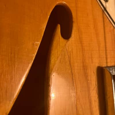 Fender Telecaster Thinline 1969 - Natural image 5