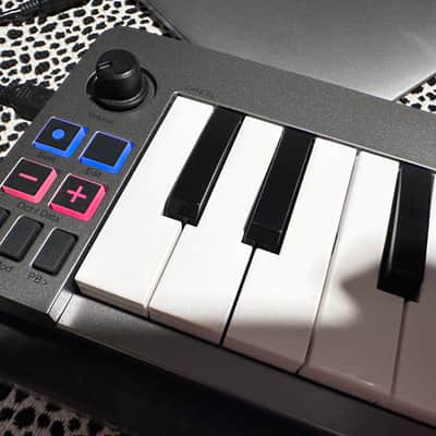 M-Audio Keystation Mini 32 MIDI Keyboard Controller 2011 - 2018 - Grey image 7