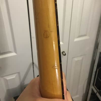 1960's Ibanez 1860  Rare Model, Pre-cursor to the Jet King image 12