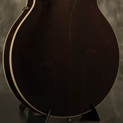 2023 Epiphone USA Casino Royal Tan image 15