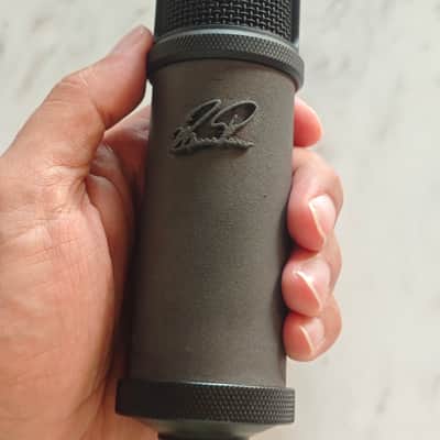 ZP Microphones ZP800G 2025 - All black image 1