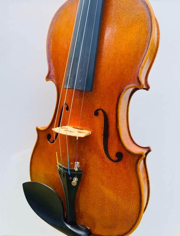 Fine Italian violin Stefano Scarampella 1910 image 1