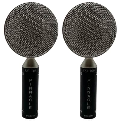 Pinnacle Microphones Fat Top Ribbon Microphones (Black) image 1