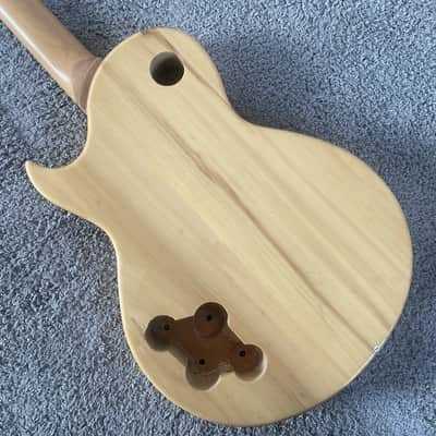 Harley Benton Single Cut Electric Guitar DIY Project, 22 Frets image 11