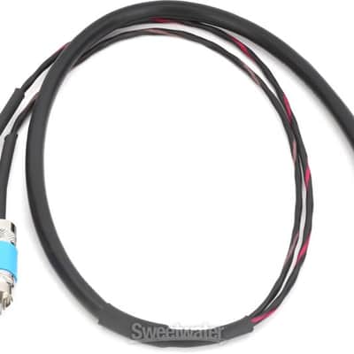 Pro Co IPMB2R-2 3.5mm TRS Male to Dual RCA Male Cable - 2 foot (IPMB2R2d1) image 4