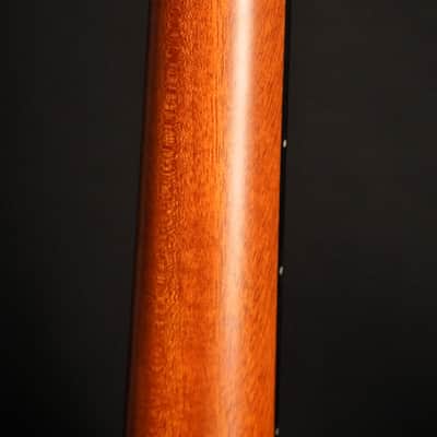 aNueNue Black Whale Tenor 2026 image 12