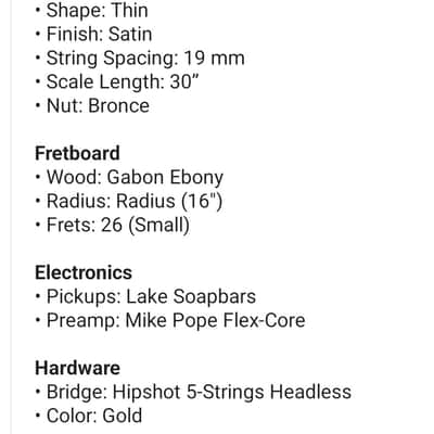 Swan RHO 5 Special NAMM 2022 image 12