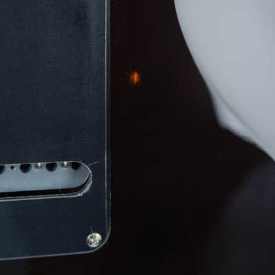 Paul Reed Smith SE Custom 24 '24 image 6