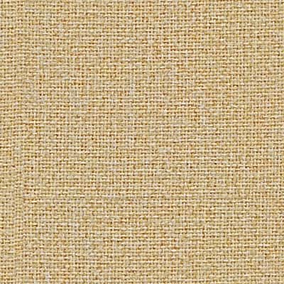 Camira Cara - Ej173 Auston image 3