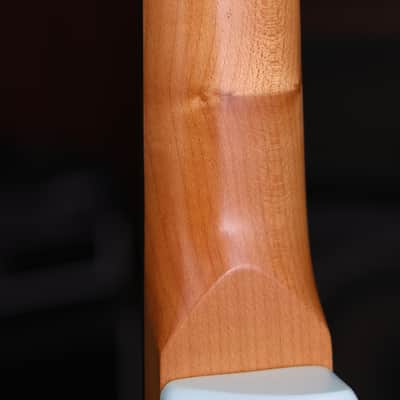 Dhatarattha SSS Strat-Style – Surf Blue Nitro Relic image 9