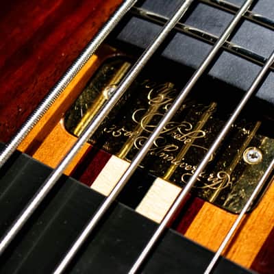 ALEMBIC MJLB5F Signature Standard 2010 image 6