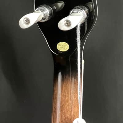 Gold Tone BG-150F 5-String Bluegrass Banjo w/ Flange Tobacco Sunburst w/ Gig Bag image 11