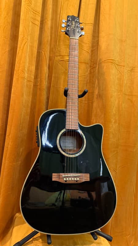 Takamine G Series EG531SC - Black w/ Hard case image 1