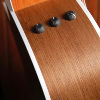 Taylor 210ce Dreadnought Acoustic-Electric Guitar image 10