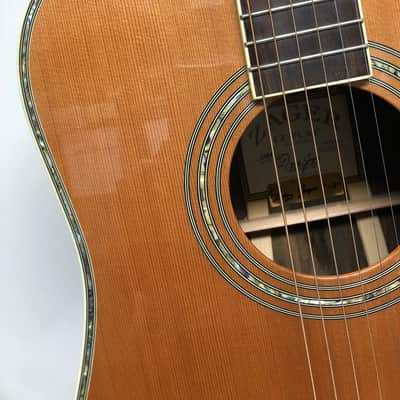 Zager ZAD 80 EZ-PLAY Acoustic Guitar image 3