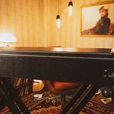 Lell Lel' 22 Rare Analog Piano Strings Electro Organ Synthesizer Soviet USSR image 4