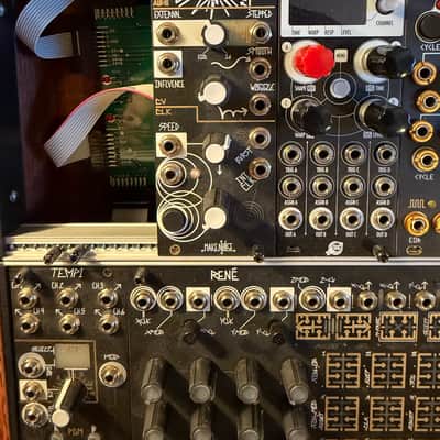 Make Noise Richter Wogglebug Module | Reverb