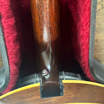 1979 Gibson Mastertone RB-250 image 17