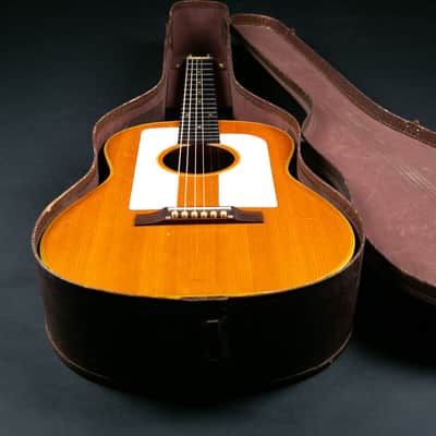 Gibson F-25 1965 image 21