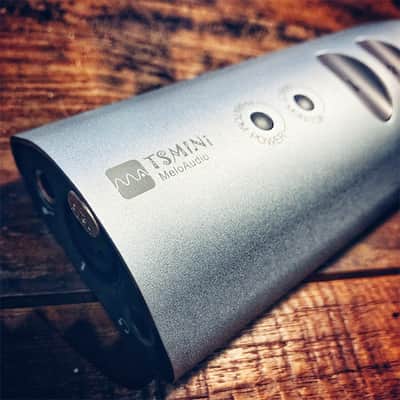 MeloAudio Tone Shifter TS Mini image 2