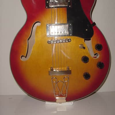 Glen Burton GE775-CBS Hollow Body Chicago Maple Neck 6-String Electric Guitar w/Gig Bag, Strap & Picks image 2
