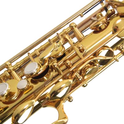 Eastman EAS850 Rue Saint-Georges Alto Saxophone - Lacquer image 6