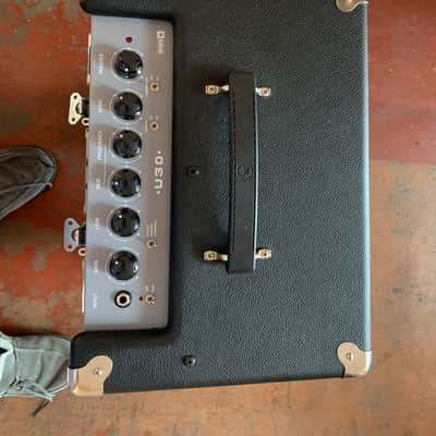 Blackstar Unity Series U30 30-Watt 1x8" Bass Guitar Combo 2018 PLUS NSP Hard Flight Case image 5