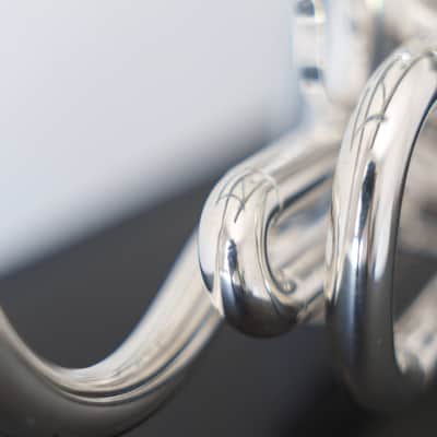 Yamaha YCR-6330S Bb Cornet (SN 0010xx) image 24