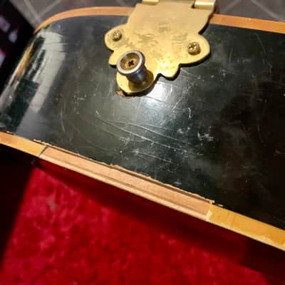 Mindboggling Silvertone Dan Electro Frankenburst image 11
