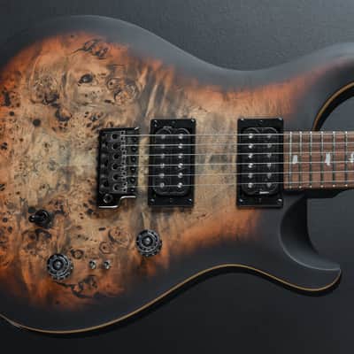 Paul Reed Smith SE Custom 24-08 Poplar Burl Limited Edition '24 image 1