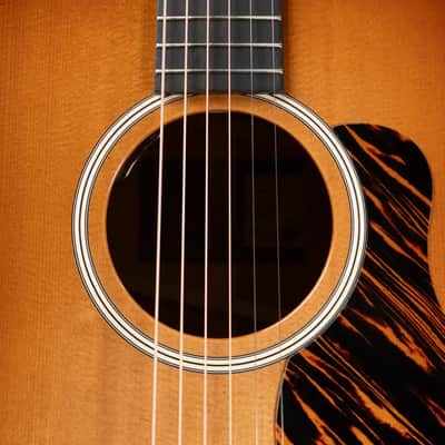 Taylor Gold Label 517e Grand Pacific Acoustic/Electric Guitar - Sunburst with Firestripe Pickguard and Hardshell Case image 8
