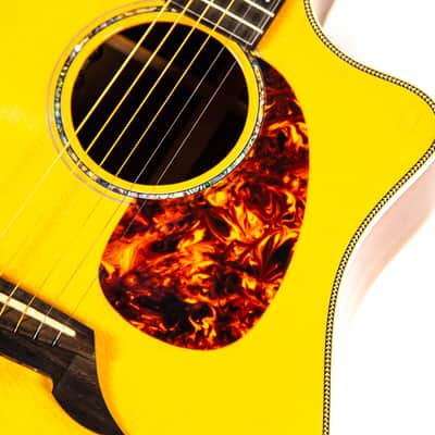 Breedlove Pro Series D25/SRH Acoustic Guitar Owned by Dave Mustaine image 10