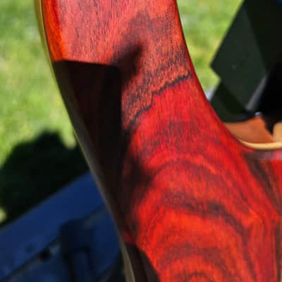 Swan RHO 5 Special NAMM 2022 image 9