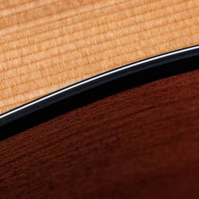 Taylor 150ce Dreadnought 12-string Acoustic/Electric Guitar image 3
