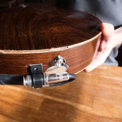 The Windsor Artiste Model 4 Zither Banjo Circa 1910 image 4