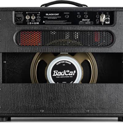 Bad Cat Black Cat Guitar Combo Amplifier (20 Watts, 1x12") image 4