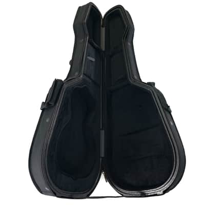 Godin Tric parlor Case image 2