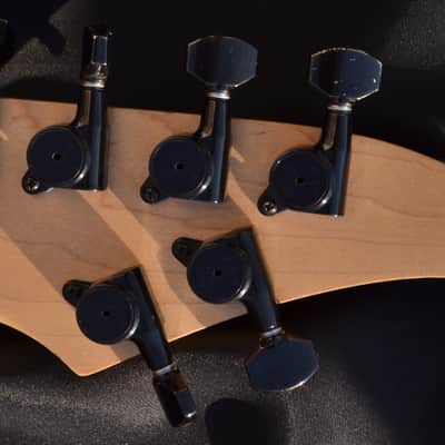 Caparison Guitar Custom Built for Tom Englund of Evergrey Stunning Tremlogic Bridge image 7