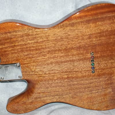 VZ Custom Guitars 24-Fret T-Style w/HSC image 7