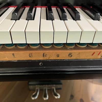 Steinway Model O Grand Piano 1906 - Ebony Satin image 18