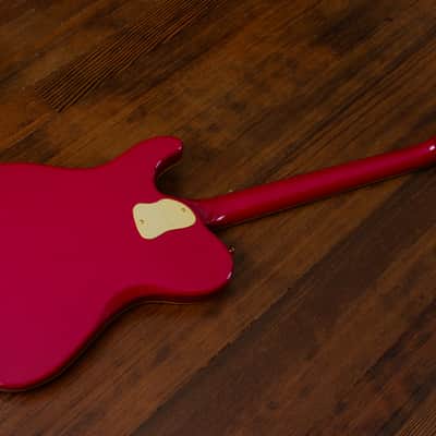 🇯🇵 1993 Fender Terry-1 Anniversary, Custom Edition, All Original, MIJ, Japan image 3