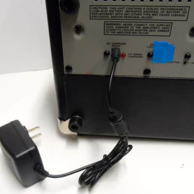 Crate Taxi Limo Street Busk Guitar Amp/PA 50 Watt 2 channel 10 TX50DB TX50 TX50D Battery Portable image 9
